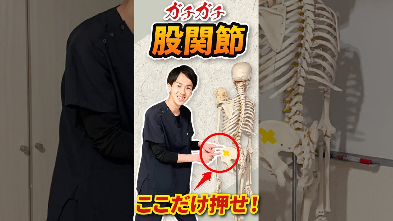 【股関節ストレッチ】たった10回！ガチガチ股関節改善ストレッチ #shorts