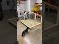 Framing a Dog House with my little helper! #woodworking #dog #doghouse #daschund