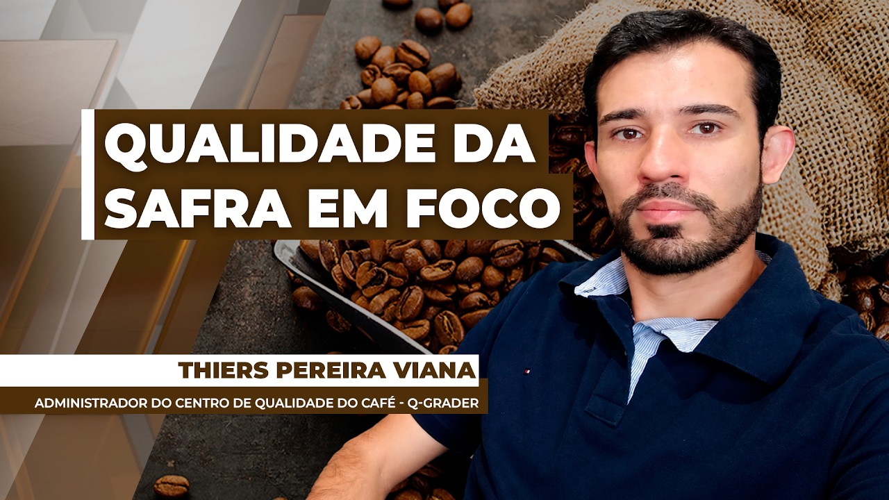 Colheita de café avança e mercado monitora qualidade da safra