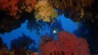 Casino Vs Japan - Go Hawaii