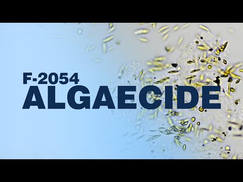 F-2054 Algaecide: The Best Biocide in the Business