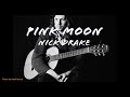 Pink Moon by Nick Drake - Guitar Lesson