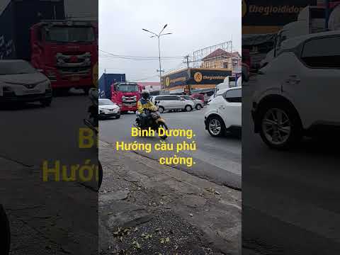 người đi vạn nẻo đường.