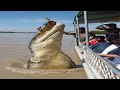 10 Abnormally Large Animals That Really Exist