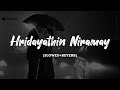 Hridayathin Niramayi Slowed Reverb 100 Days Of Love