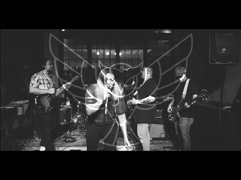 Eleyn - Playright Live