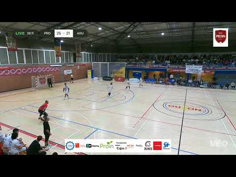 Cajasol Sevilla Bm Proin vs Agustinos Alicante