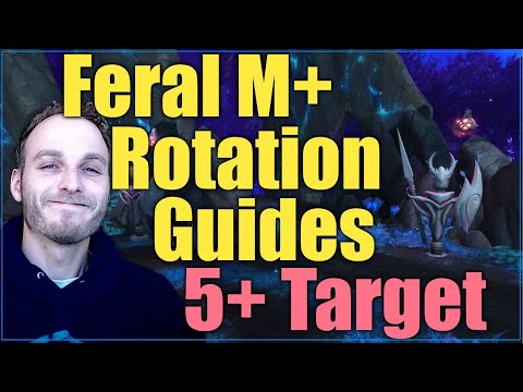 Feral M+ Rotation Guides - 5+ Targets BT + No BT