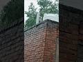 Barish बारिश Rain बरसात Song Barsaat Love Funny Comedy