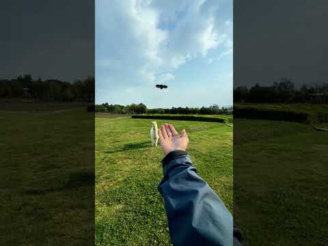 DJI Neo 2: Più che un drone, un cucciolo digitale!