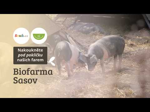 Pod pokličkou našich farem - Biofarma Sasov | Scuk.cz
