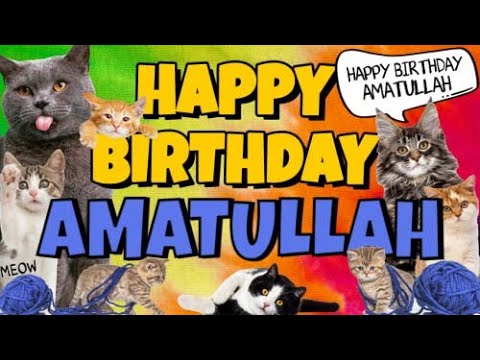 Happy Birthday Amatullah! Crazy Cats Say Happy Birthday Amatullah (Very Funny)
