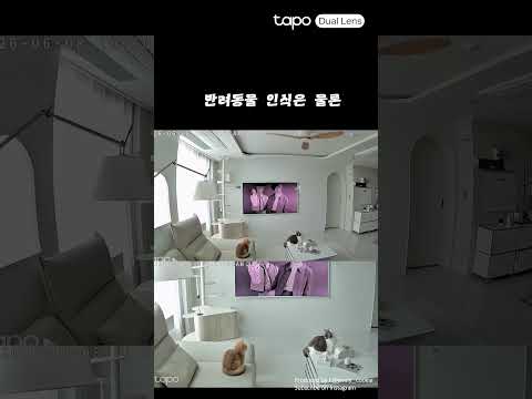 홈캠 렌즈가 두 개? 난리도 아니야~ | Tapo 246D
