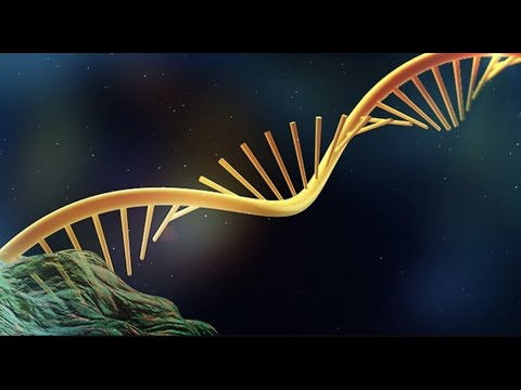 Single Cell RNA Sequencing vs. Bulk RNA Sequencing