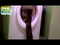 Crazy Funny Cats Vs Washing Machines Imaginary Enemy Of Cats Compilation 2015 2016