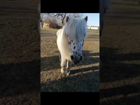 Mein kleines Herz ❤️ .....