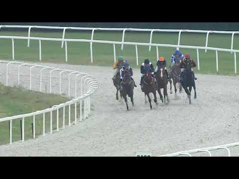 2019.06.16. 01. futam - NYERETLEN KÉTÉVESEK VERSENYE (IV.kat.) (szintetikus pálya)