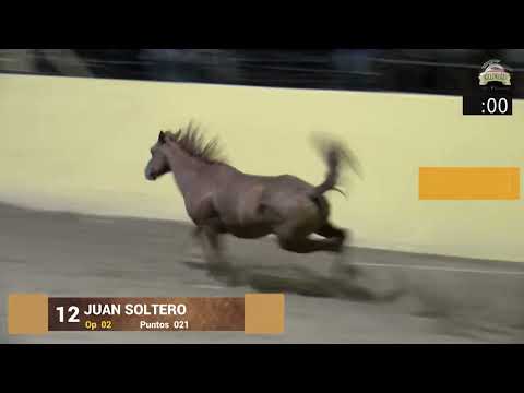 Campeón del Pialadero de las Estrellas del Millonario