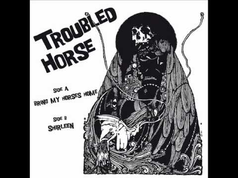 Troubled Horse - Shirleen