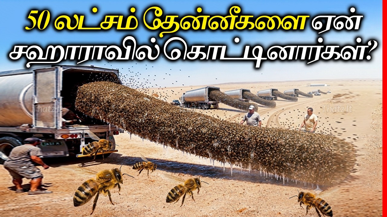 லட்சக்கணக்கான தேனீக்களை Africa ஏன் பாலைவனத்தில் கொட்டி