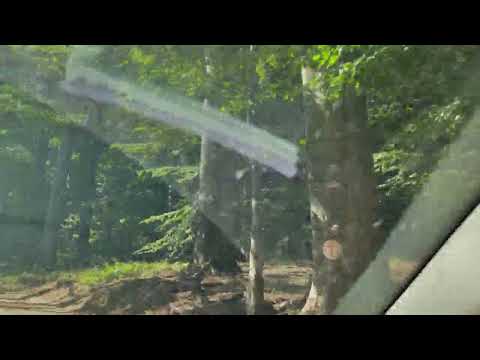 O plimbare prin Obarsia Closani MH