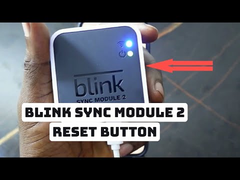 Where to Find the Reset Button on Blink Sync Module 2