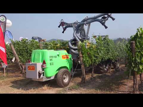 Enovitis in campo 2017 Cavaion Veronese