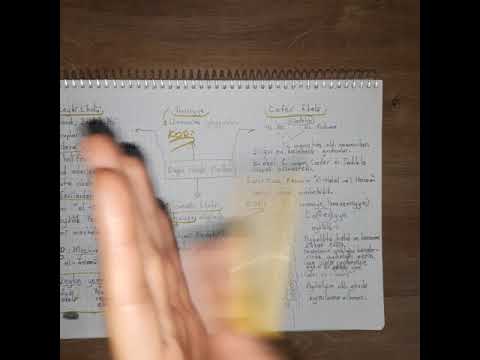 Zeydi+Ibaziyye+ismaili+Caferi Ekoller( Dikap/Öabt/Dhbt)🧖‍♀️🧕🌞