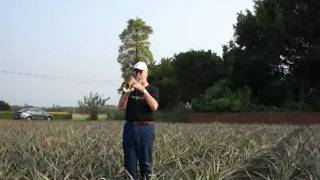 Video thumbnail for CarolBrass CTR-5000L-YST performance by CarolBrass