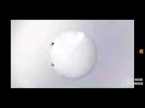 Cinema Especial • Procurando Dory (2016) (25/12/2020)