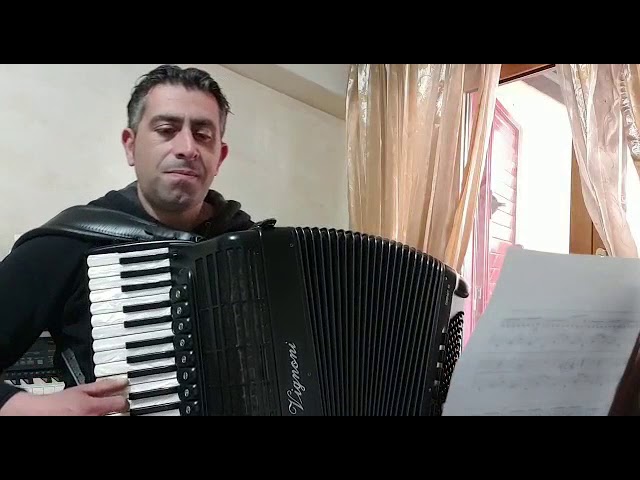 Vídeo relacionado con Spartiti per Fisarmonica vol. 3: 84 Brani di Musica da Ballo (Italian Edition)