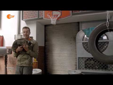 Terra Xpress Die fiesen Tricks der Tiere