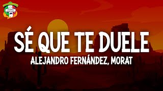Alejandro Fernández - Sé Que Te Duele (Letra) ft. Morat