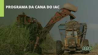 Miniatura do vídeo