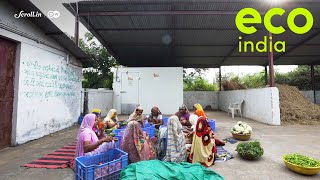 Eco India: A low-cost cold storage facility that could help marginal farmers make big profits