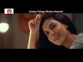 Manasulone Nilichipoke Video Song Varudu Kavali Movie Naga Shaurya Ritu Varma Chinmayi