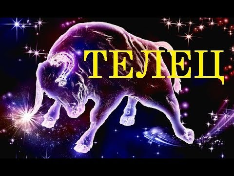 ТЕЛЕЦ / Какие комнатные цветы подходят по знаку ЗОДИАКА? / Галерея Цветов / Flower Gallery