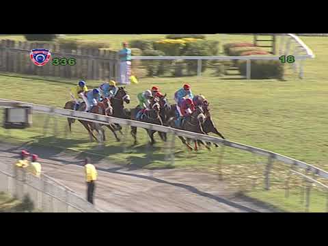 336 - 2018 THE SWAN-DUKE OF YORK CUP