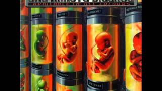 One Minute Silence - Remain Calm