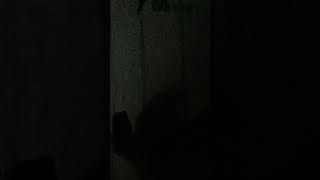 底辺の遊び