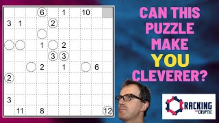 Can This Puzzle Make You Cleverer?