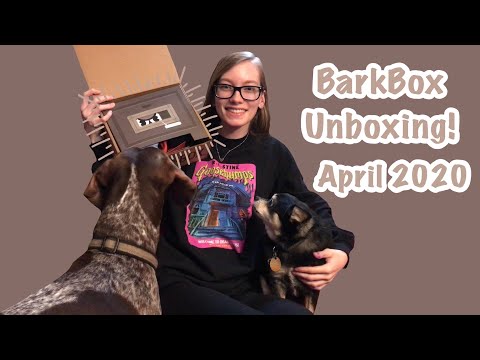 April Barkbox Theme