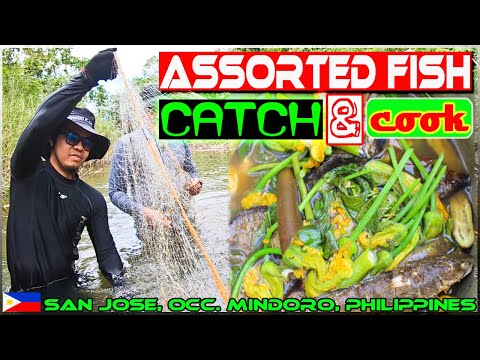 EP39 - Assorted Fish Catch and Cook (Pamamanti sa Ilog)