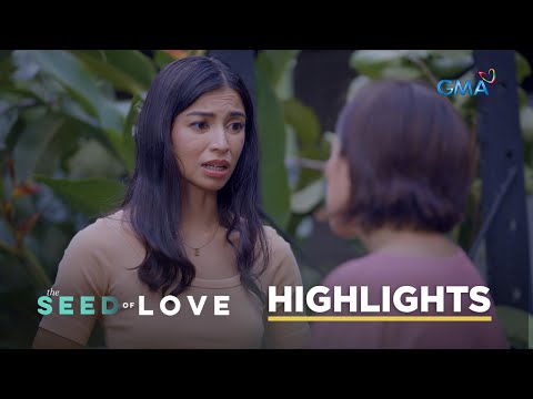 The Seed of Love: The loving wife misses her cheating husband (Episode 27)