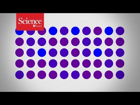 Are these dots purple or blue? Your answer might not be as reliable as you think