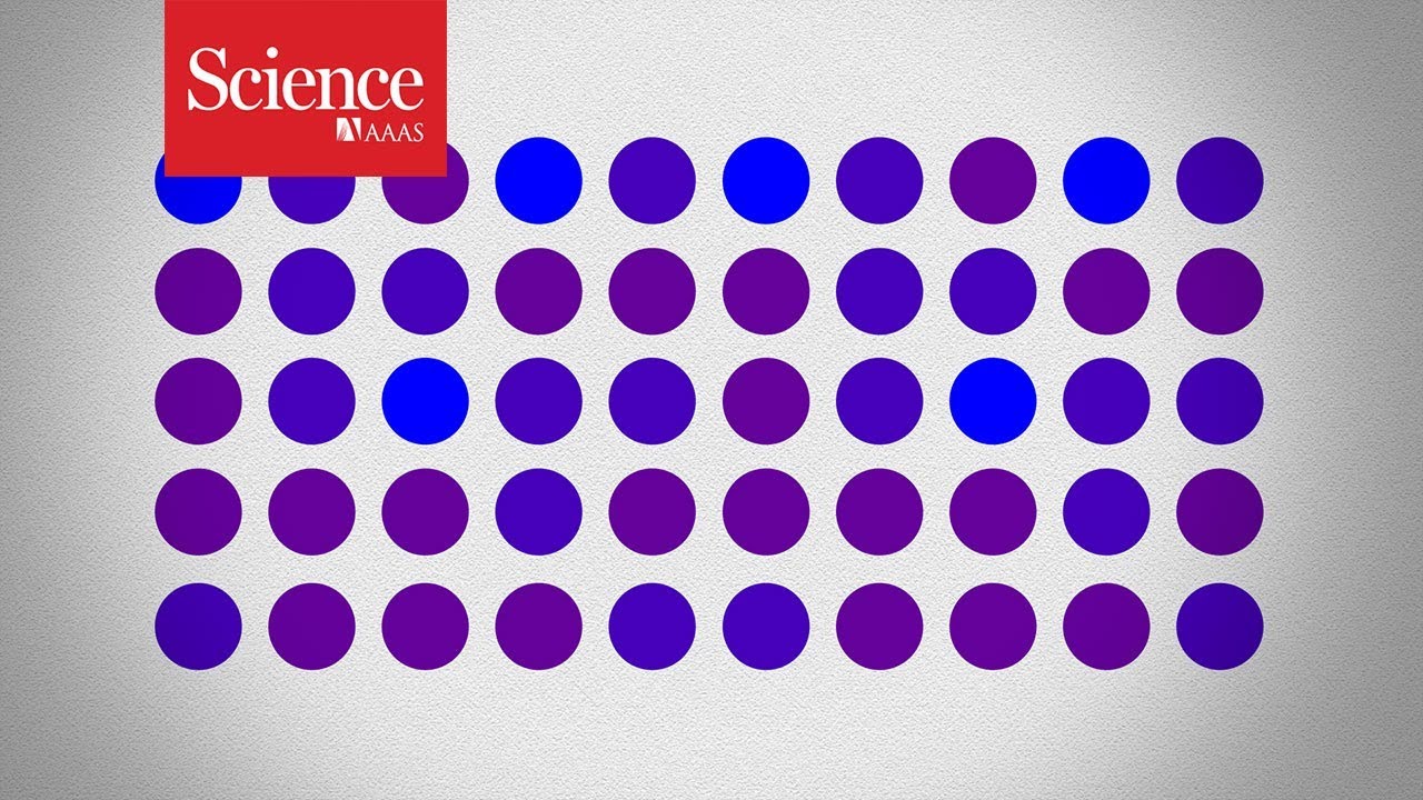 Are these dots purple or blue? Your answer might not be as reliable as you think - YouTube