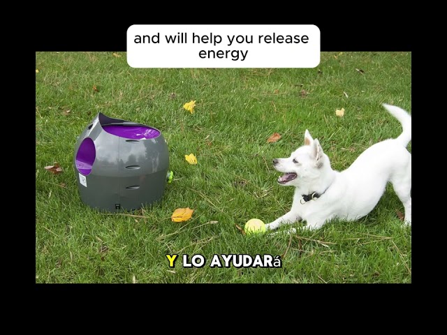 Vídeo relacionado con BIONIC Juguete Interactivo para Perros Pelota, S, 5,8 cm