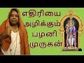 எதிரியை அழிக்கும் பழனி முருகன் சிறப்பு | Palani Muru