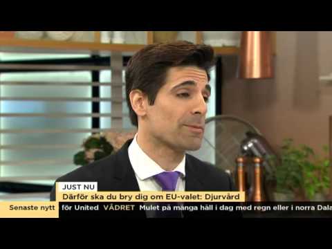 Så påverkas just du av EU-valet - Nyhetsmorgon (TV4)