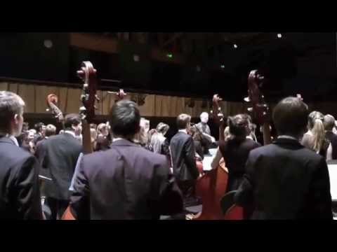 Thumbnail for BJO backstage 2015 by Concert